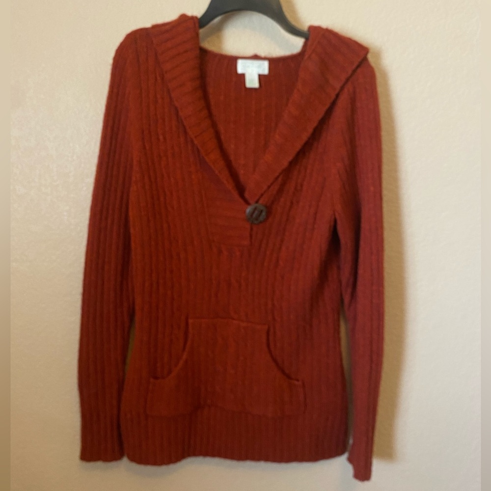 Cute hooded sweater